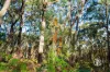 250 Parkinsons Road, Launching Place, Vic 3139-Image