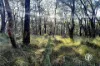 250 Parkinsons Road, Launching Place, Vic 3139-Image