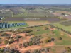 252 Distillery Road, Monash, SA 5342-Image