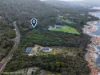 255 Harveys Farm Road, Bicheno, Tas 7215-Image