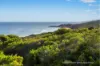 255 Injidup Spring Road, Yallingup, WA 6282-Image