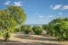 255 Injidup Spring Road, Yallingup, WA 6282-Image