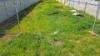 257 Darling Street, Dubbo, NSW 2830-Image
