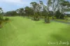 257 Mcclymonts Road, Kenthurst, NSW 2156-Image