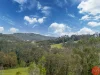 25a Forest Road, Duns Creek, NSW 2321-Image