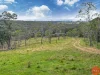 25a Forest Road, Duns Creek, NSW 2321-Image