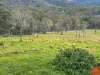 25a Forest Road, Duns Creek, NSW 2321-Image