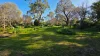 25a Matheson Road, Millicent, SA 5280-Image