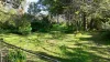 25a Matheson Road, Millicent, SA 5280-Image