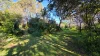 25a Matheson Road, Millicent, SA 5280-Image