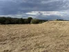 25A Song Trail, Coffs Harbour, NSW 2450-Image