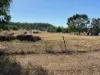 26-28 Bingara Road, Warialda Rail, NSW 2402-Image