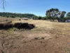 26-28 Bingara Road, Warialda Rail, NSW 2402-Image