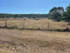 26-28 Bingara Road, Warialda Rail, NSW 2402-Image