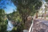 26 Dunrobin Street, Lockleys, SA 5032-Image