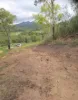 26 Hill Street, Eton, Qld 4741-Image
