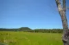 26 Nine Mile Road, Julatten, Qld 4871