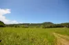 26 Nine Mile Road, Julatten, Qld 4871-Image