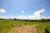 26 Nine Mile Road, Julatten, Qld 4871-Image