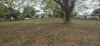 26 Palmer Street, Ingham, Qld 4850