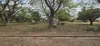 26 Palmer Street, Ingham, Qld 4850-Image