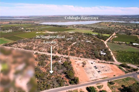 26 Slaughter Road, Loveday, SA 5345