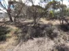 26 Station Street, Tempy, Vic 3489-Image