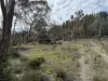 260 Cricks Mill Road, Cromer, SA 5235-Image