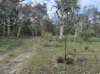 260 Cricks Mill Road, Cromer, SA 5235-Image