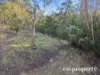 260 Montrose Road, Montrose, Tas 7010-Image
