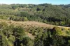 261 Range Road, Basket Range, SA 5138-Image