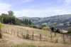 261 Range Road, Basket Range, SA 5138-Image