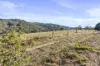 261 Range Road, Basket Range, SA 5138-Image