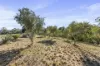 261 Range Road, Basket Range, SA 5138-Image
