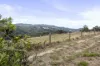 261 Range Road, Basket Range, SA 5138-Image