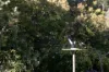 261 Range Road, Basket Range, SA 5138-Image