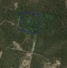 262A Austins Road, Turners Marsh, Tas 7267