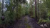 262A Austins Road, Turners Marsh, Tas 7267-Image