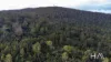 262A Austins Road, Turners Marsh, Tas 7267-Image