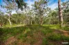 263 Warri Street, Pindimar, NSW 2324-Image