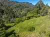265 MARTIN ROAD, Larnook, NSW 2480-Image