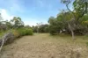 27 Byahamee Street, Rye, Vic 3941-Image