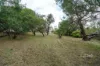 27 Byahamee Street, Rye, Vic 3941-Image