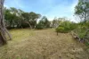 27 Byahamee Street, Rye, Vic 3941-Image