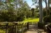 27 Hillside Terrace, St Lucia, Qld 4067-Image