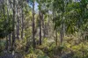 27 Reef View Road, Murdunna, Tas 7178-Image