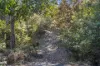 27 Reef View Road, Murdunna, Tas 7178-Image