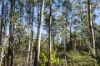 27 Reef View Road, Murdunna, Tas 7178-Image