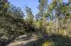 27 Reef View Road, Murdunna, Tas 7178-Image