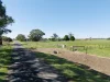 27 Righetti Road, Heywood, Vic 3304-Image